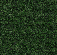Грязезащитные дорожки и коврики Coral Brush 5708 avocado green