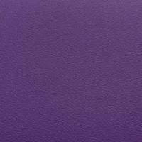 DLV Active Sports Multi AS-160 Purple спортивное покрытие Актив спорт мульти фиолетовый