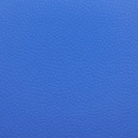 DLV Active Sports Multi AS-255 Blue спортивное покрытие Актив спорт мульти голубой