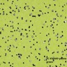 Forbo Sphera EC 450049 yellow green линолеум токопроводящий Сфера ЕС