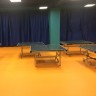 OLIMP Спортивный линолеум Олимп оранжевый OLIMP Спортивный линолеум Олимп оранжевый