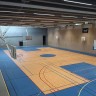 OLIMP Спортивный линолеум Олимп синий