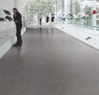 Мармолеум FORBO Real 3137 slate grey