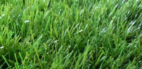 Искусственная трава Grass SK Nature 40 