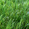 Искусственная трава Grass SK Nature 40 