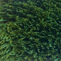 Искусственная трава Grass SK Nature 40 