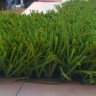 Искусственная трава Grass SK Nature 40 