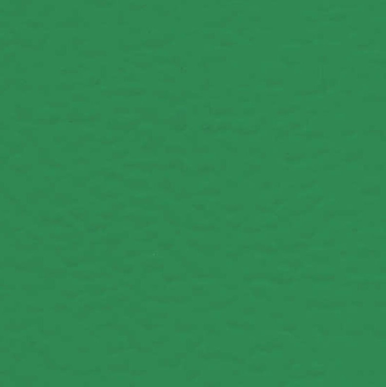 Taraflex EVOLUTION SL 6570 MINT GREEN Спортивное покрытие Терафлекс Эволюшн СЛ Taraflex EVOLUTION SL 6570 MINT GREEN Спортивное покрытие Терафлекс Эволюшн СЛ