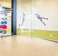 Marmoleum Sport 83285 green спортивное натуральное покрытие Мармолеум спорт зеленый