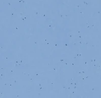 Sphera Energetic 50268 blue sky линолеум Сфера Энергетик голубой