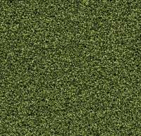 Грязезащитные дорожки и коврики Coral Bright 2608 fresh grass