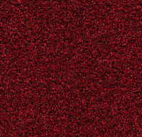 Грязезащитные дорожки и коврики Coral Bright 2603 vivid earth