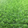 Искусственная трава 20 mm Landscape
