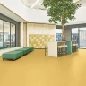 Sphera Orient 4133 turmeric линолеум Сфера Ориент куркума