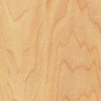 Taraflex PERFORMANCE WOOD 6381 MAPLE Спортивное покрытие Терафлекс Перфоменс