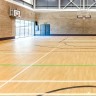 Taraflex PERFORMANCE WOOD 6381 MAPLE Спортивное покрытие Терафлекс Перфоменс