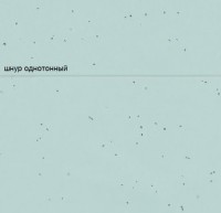 Линолеум Sphera energetic 50218 spearmint
