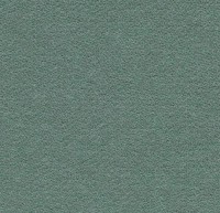Коммерческое ковровое покрытие Showtime Colour 900268 celadon