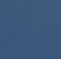 Линолеум Sphera energetic 50207 denim