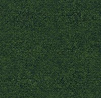 Коммерческое ковровое покрытие Showtime Colour 900278 pastoral