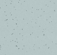 Линолеум Sphera energetic 50223 frost