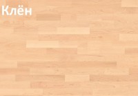 Спортивная паркетная система Actiflex (Актифлекс) Клен