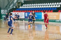 Спортивная паркетная система Arenaflex (АренаФлекс) Ясень