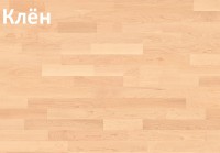 Спортивная паркетная система Arenaflex (АренаФлекс) Клён
