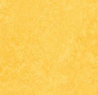Marmoleum fresco 3251 lemon zest