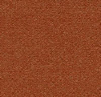 Коммерческое ковровое покрытие Showtime Colour 900276 terracotta
