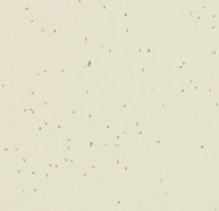 Линолеум Sphera energetic 50208 almond
