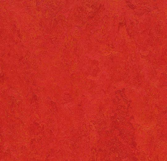 Marmoleum fresco 3131 scarlet