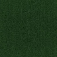 Искусственная трава  Greenfield TTP53