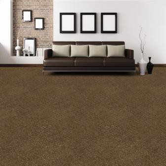 rooms-with-dark-brown-carpet-living-room-contemporary-living-as-well-as-gorgeous-living-room-carpet-decorating-ideas.jpg