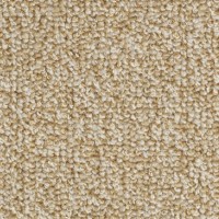 CENTAURE DECO NOISETTE 0648 ковролин Кентауре Деко тёмно-бежевый