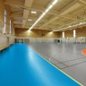 APOLUZA спортивный линолеум Аполуза 4,5 синий