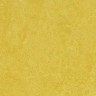 Marmoleum Sport 83284 yellow