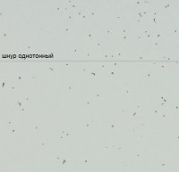 Линолеум Sphera energetic 50229 morning dew