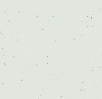 Линолеум Sphera energetic 50230 polar