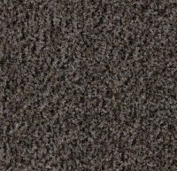 Грязезащитные дорожки и коврики Coral Click 7824/7834/7884/7874 shark grey