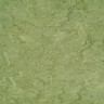 Marmorette 121-100 frog green