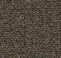Грязезащитные дорожки и коврики Coral Marine FR 4204 FR Santos brown