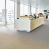 Surestep wood 18802 elegant oak Линолеум Сурстеп Вуд Surestep wood 18802 elegant oak Линолеум Сурстеп Вуд