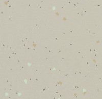 Линолеум Sphera energetic 51211 vivid stone