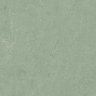 Marmoleum fresco 3891 sage Marmoleum fresco 3891 sage