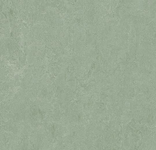Marmoleum fresco 3891 sage Marmoleum fresco 3891 sage