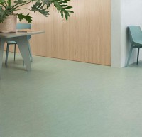 Marmoleum fresco 3891 sage