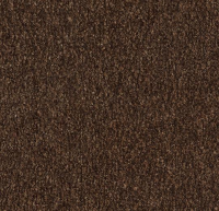 Грязезащитные дорожки и коврики Coral Marine FR 4226 FR Tanger brown
