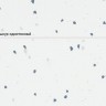 Линолеум Sphera energetic 51200 vivid snow Линолеум Sphera energetic 51200 vivid snow