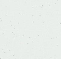 Линолеум Sphera energetic 50200 snow